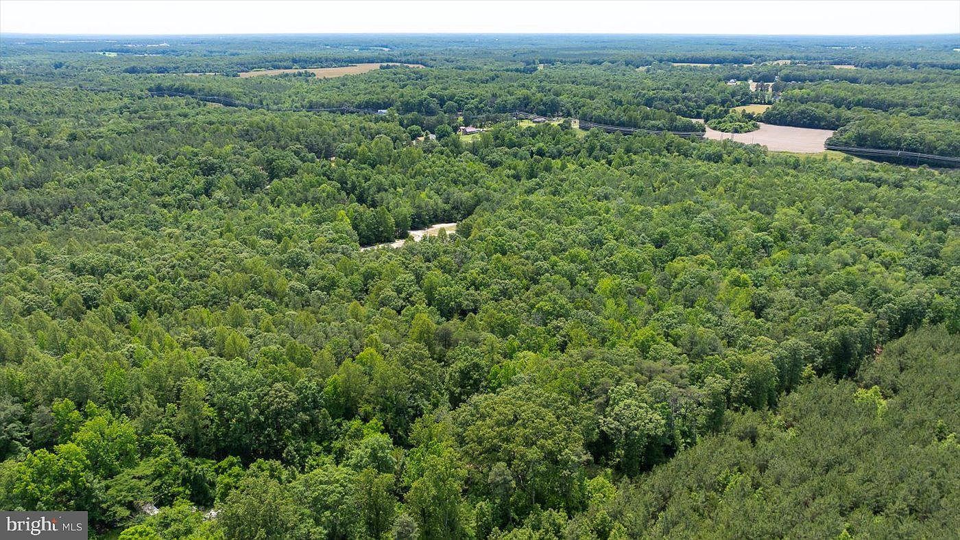 LOT 2 Golansville Rd Ruther Glen, VA 22546 - Thumbnail 5