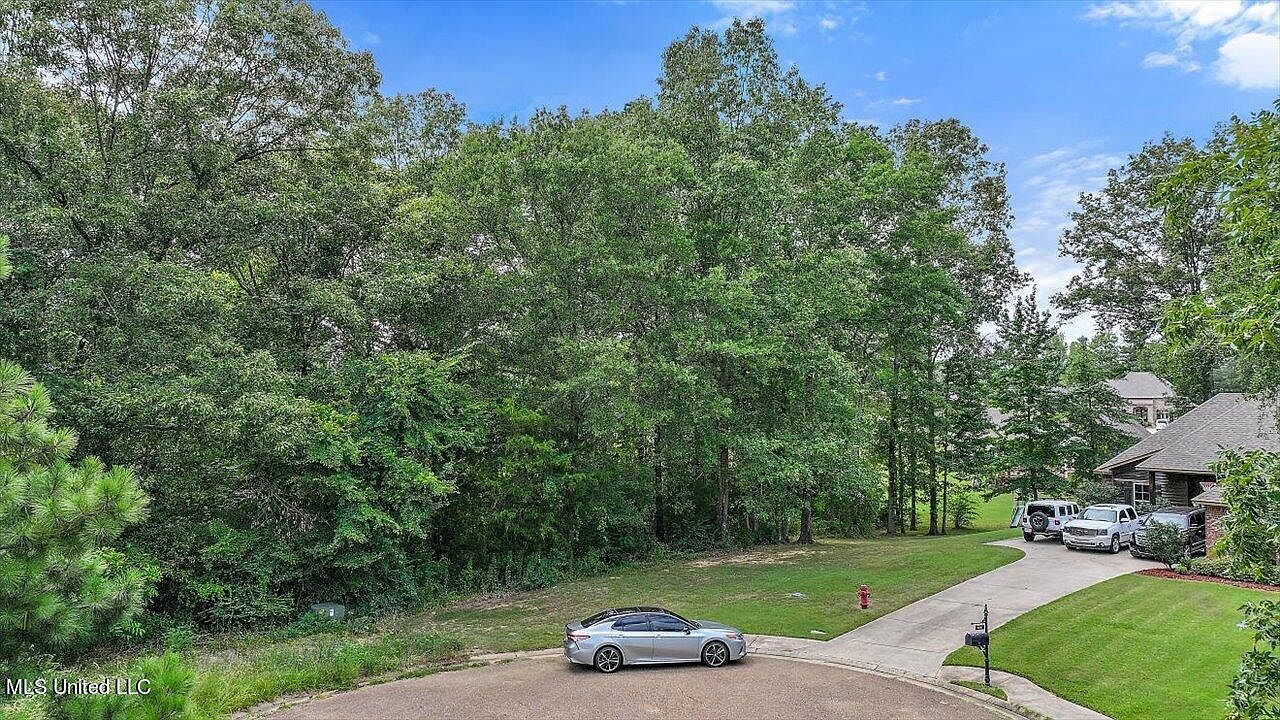 103 Ashton Pl Clinton, MS 39056 - Thumbnail 5