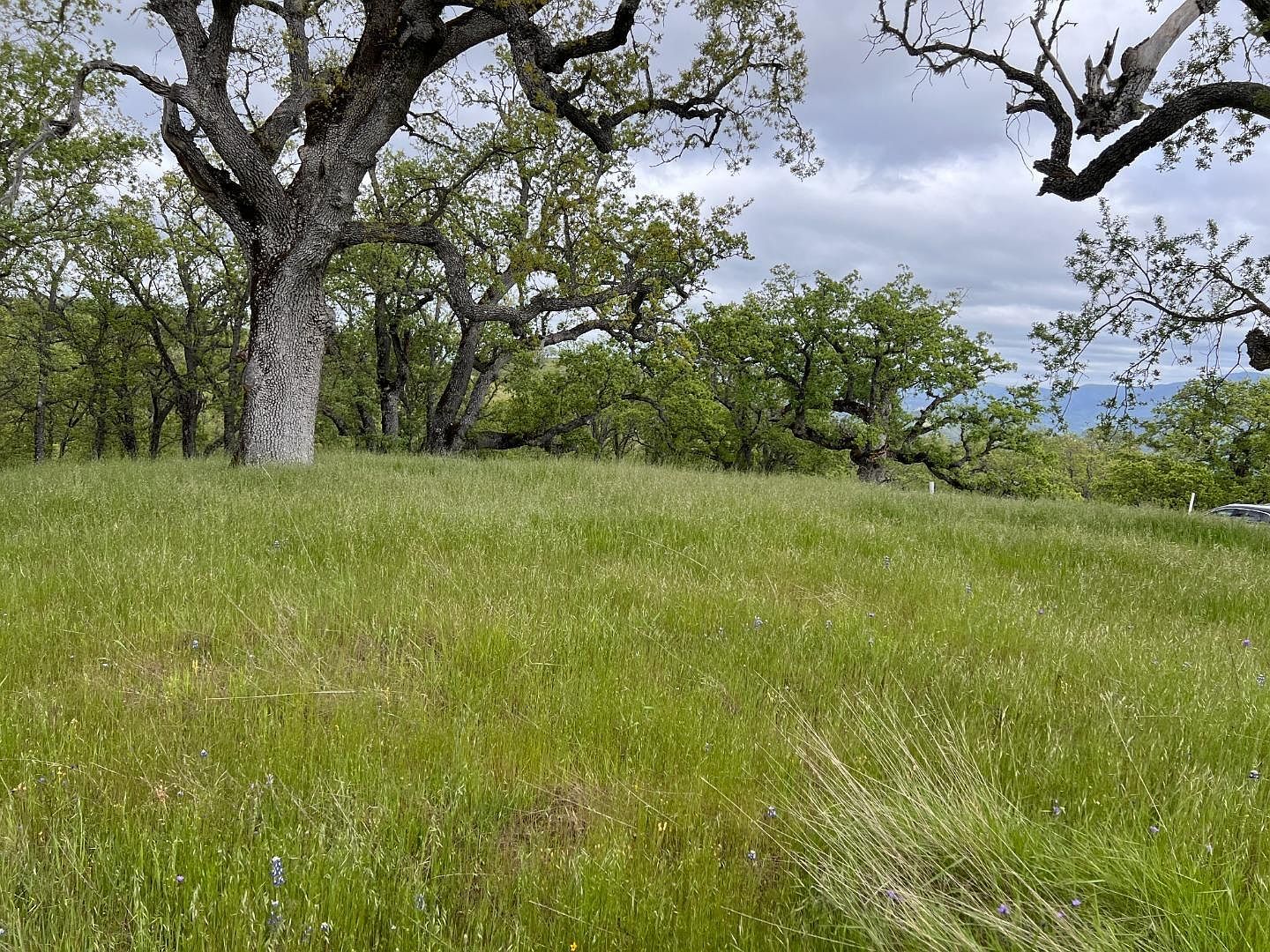 13 Long Ridge Trl Carmel, CA 93923 - Thumbnail 5