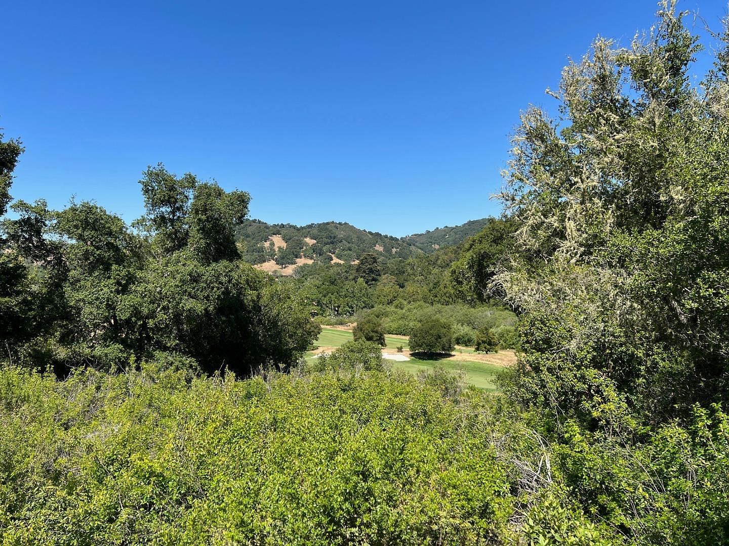 6 Arroyo Sequoia Carmel, CA 93923 - Thumbnail 5