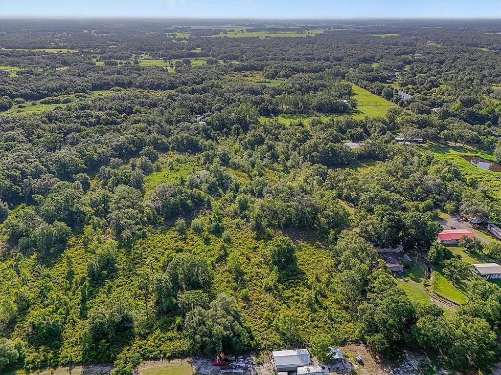 5900 N Dormany Rd Plant City, FL 33565 - Thumbnail 5