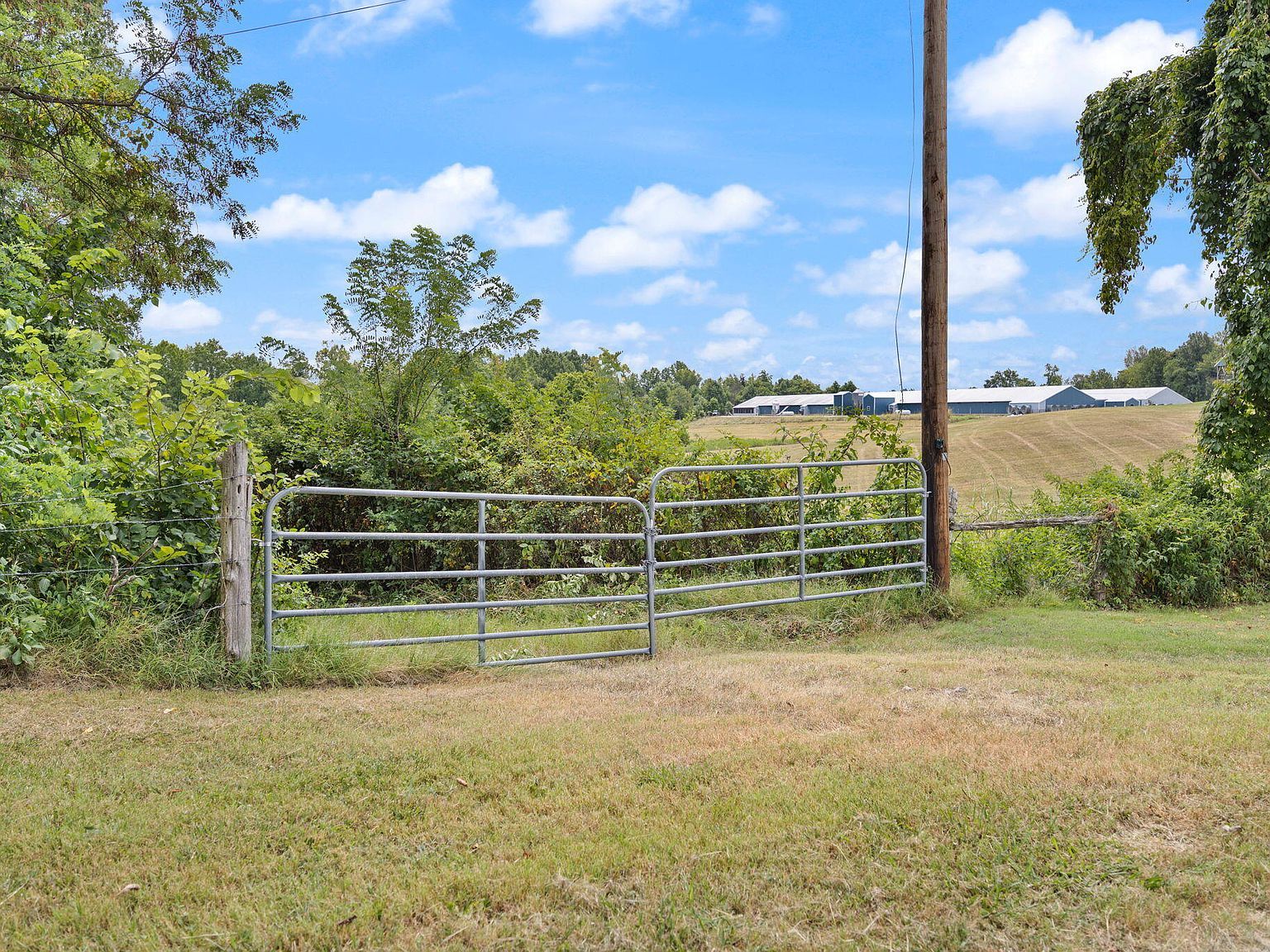 9999 George Garner Rd Monticello, KY 42633 - Thumbnail 5