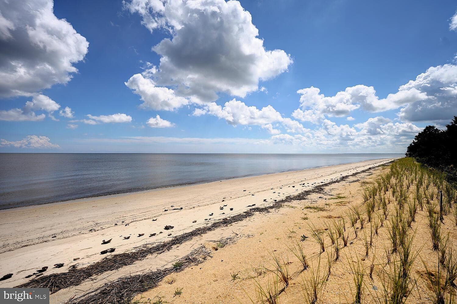 173 S Sandpiper Dr Dover, DE 19901 - Thumbnail 5