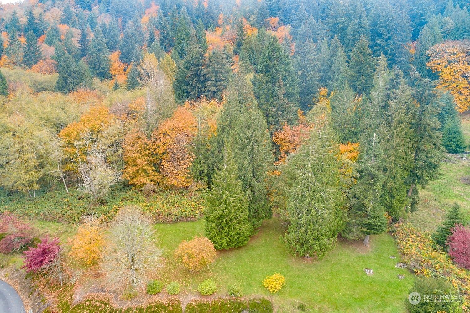 0 Meeker Dr PARCEL 41251 Kalama, WA 98625 - Thumbnail 5