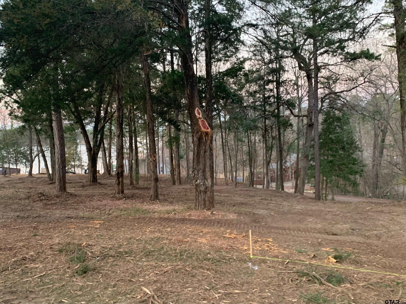 Pedernales St Scroggins, TX 75480 - Thumbnail 5