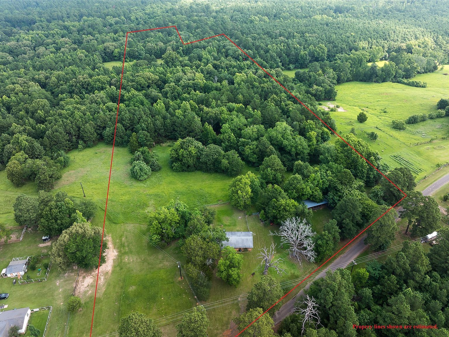 519 An County Rd #450 Palestine, TX 75803 - Thumbnail 5