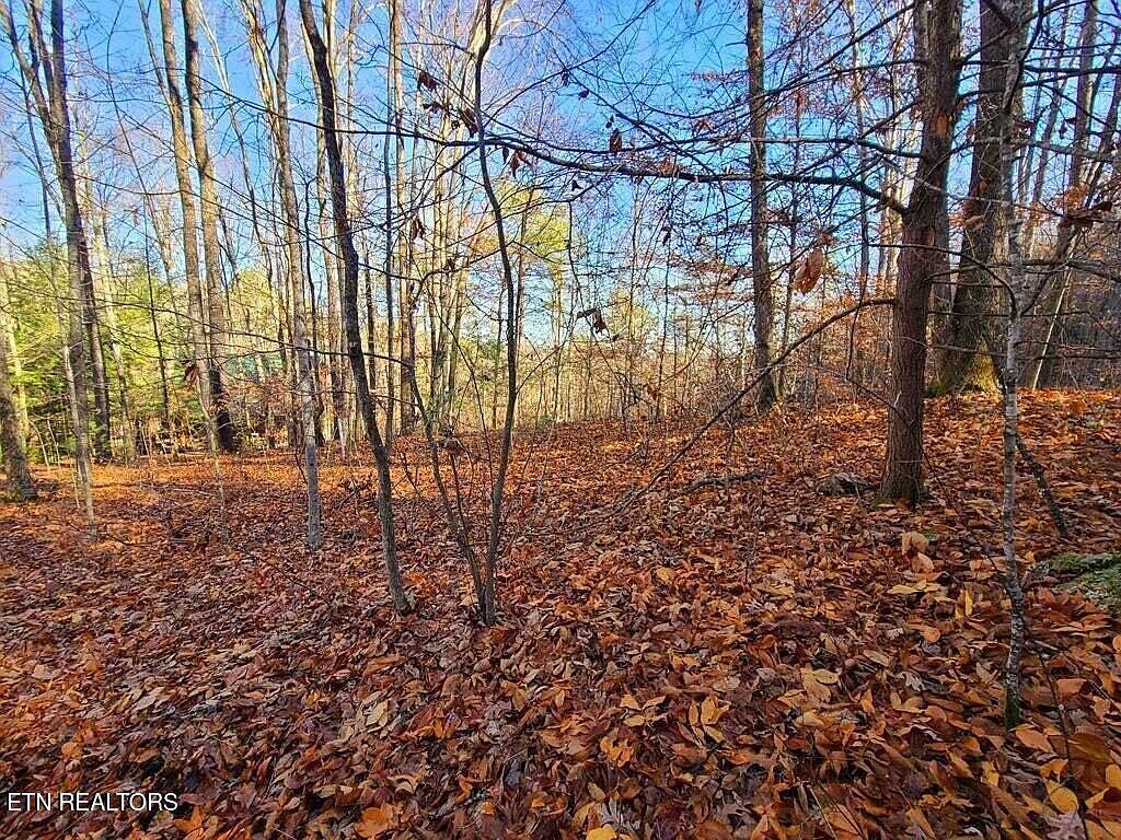 LOT 9 Walden Flats Way Sevierville, TN 37862 - Thumbnail 5