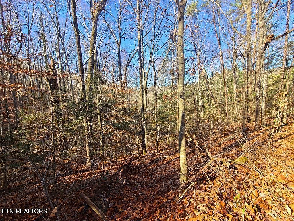 LOT 26 Walden Cove Way Sevierville, TN 37862 - Thumbnail 5