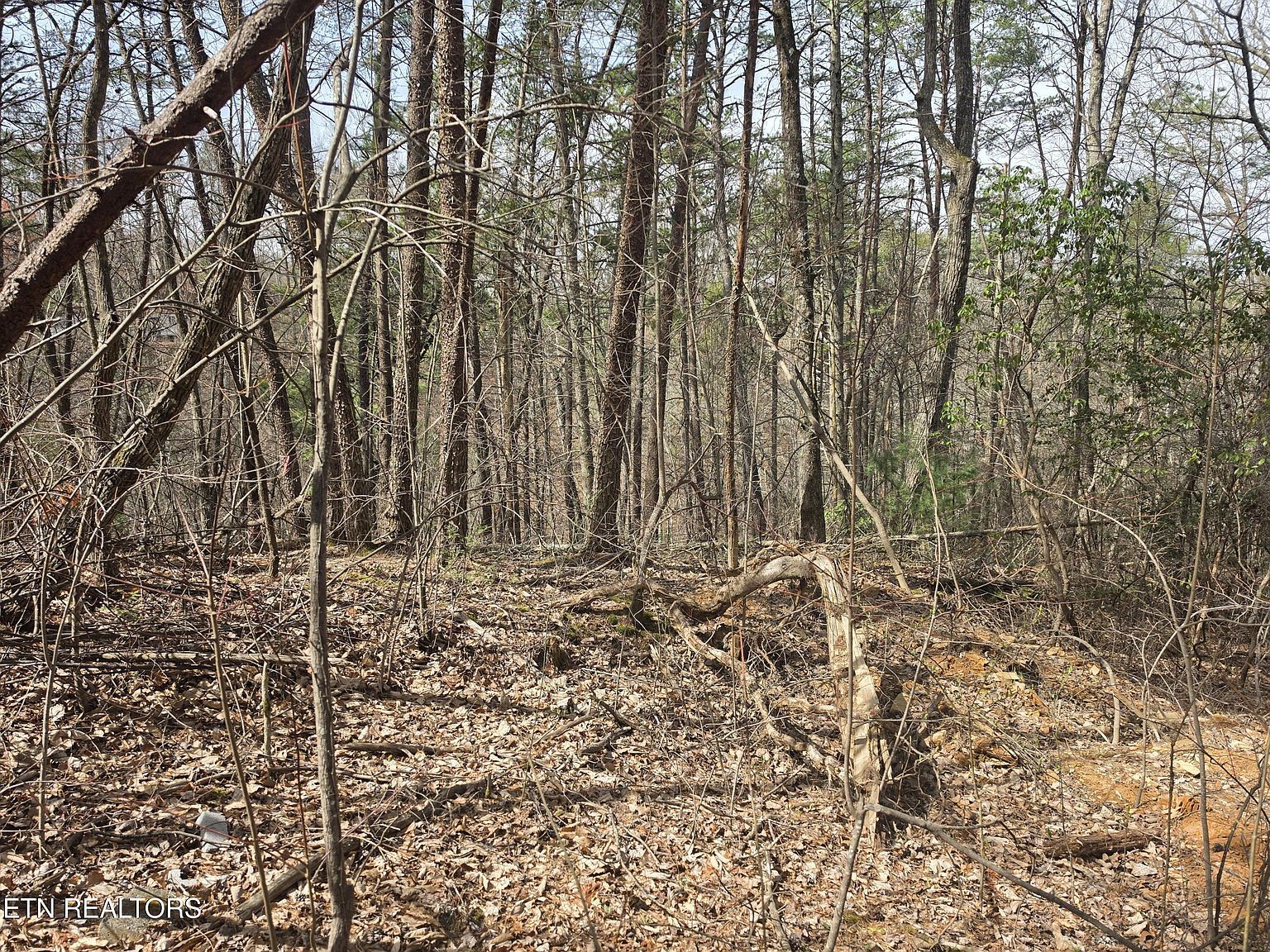 Ridgefield Dr Sevierville, TN 37876 - Thumbnail 5