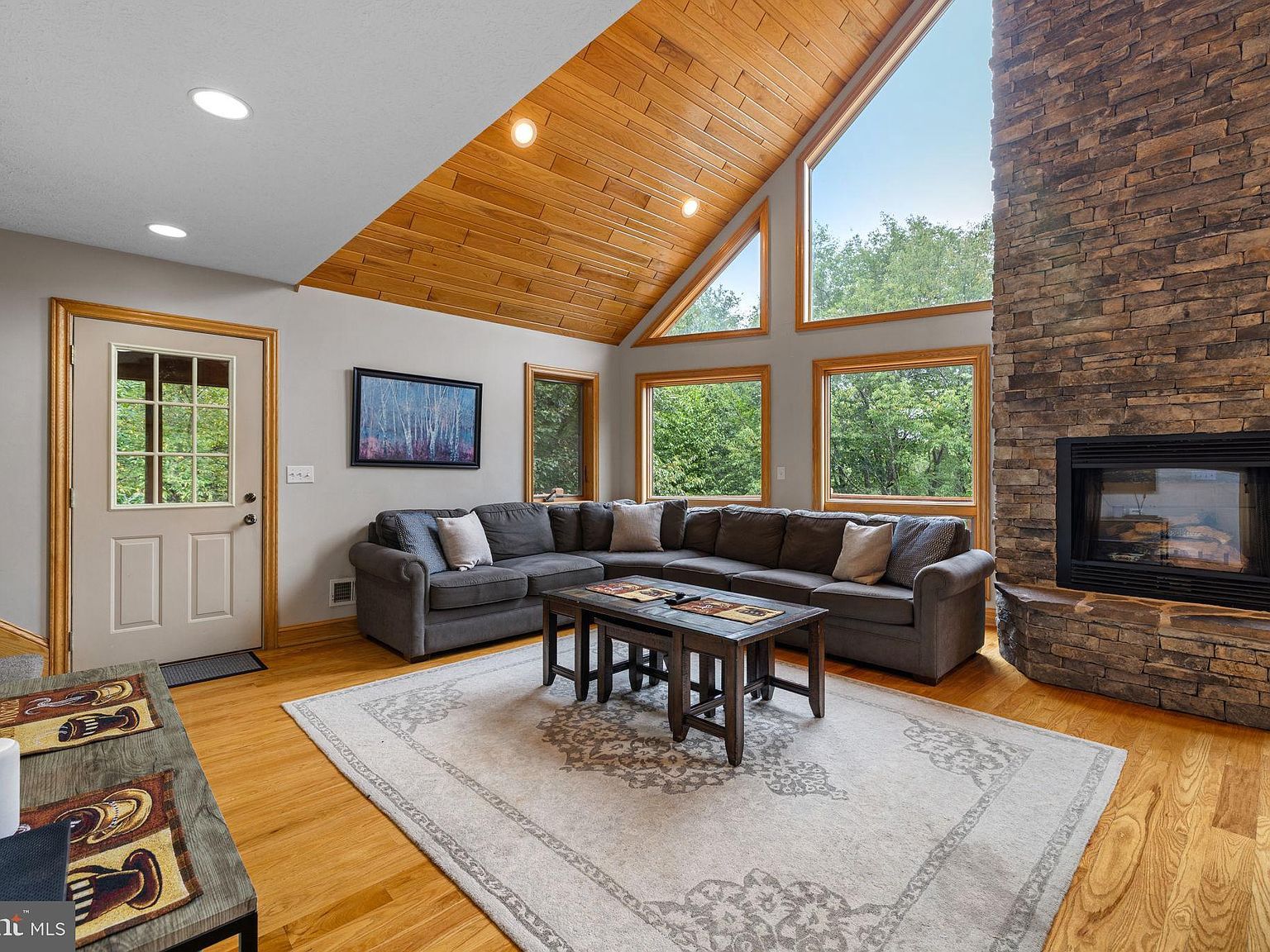 723 Pinnacle Dr Swanton, MD 21561 - Thumbnail 5