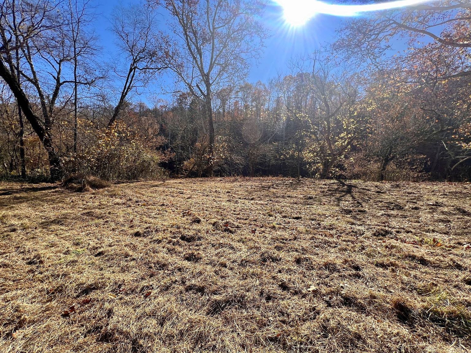 7445 Elk River Rd Frametown, WV 26623 - Thumbnail 5