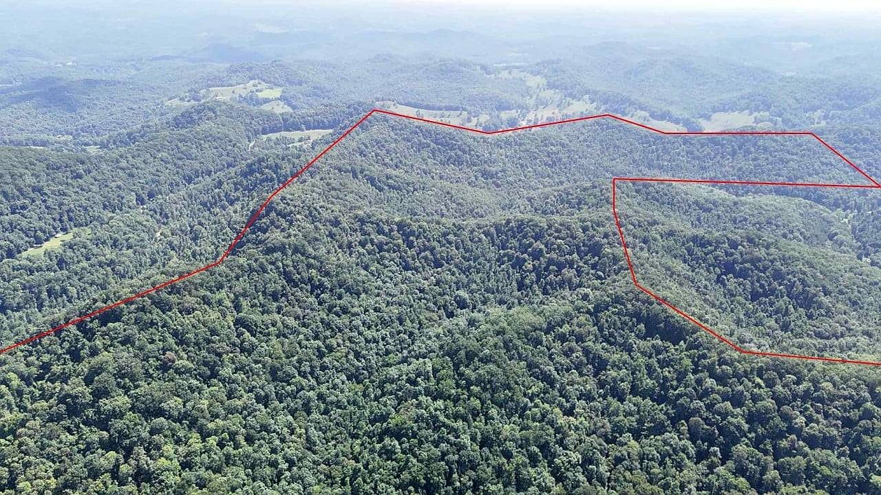 Wilsie Rd Frametown, WV 26623 - Thumbnail 5