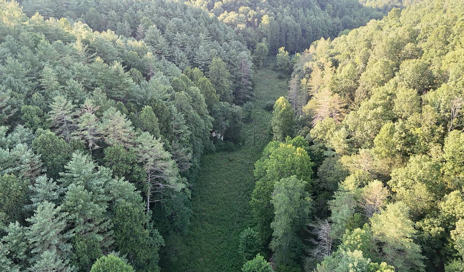 2283 Coon Creek Rd Gassaway, WV 26624 - Thumbnail 5