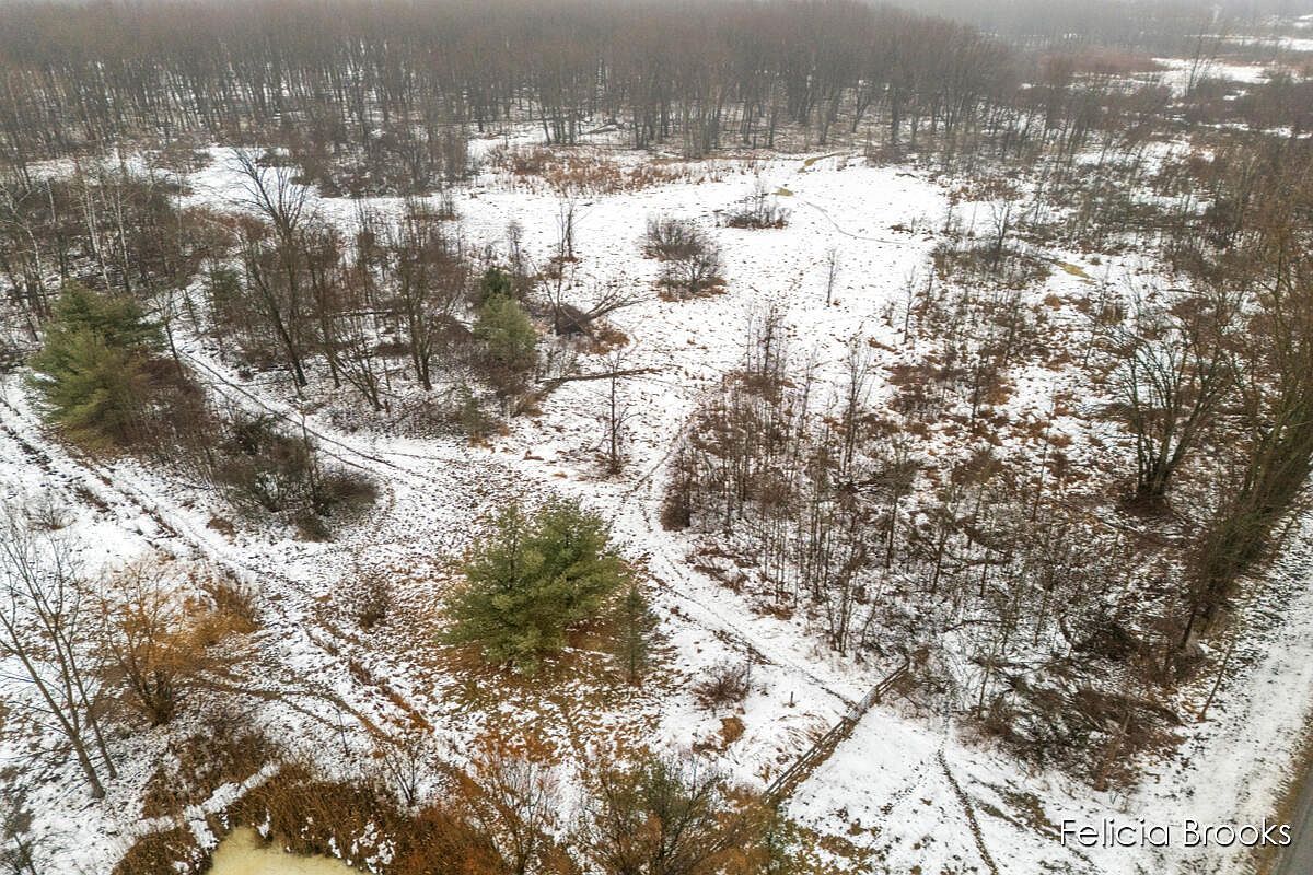 17580 Pine Lake Ave Sand Lake, MI 49343 - Thumbnail 5