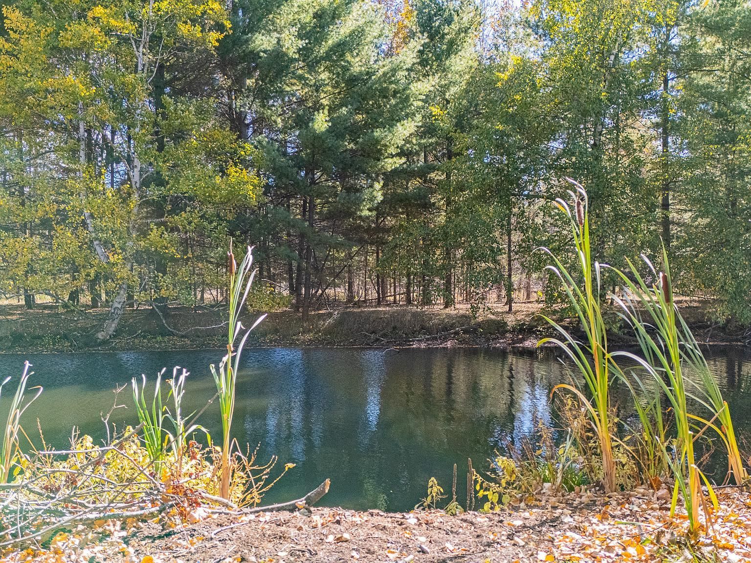 Long Point Dr Houghton Lake, MI 48629 - Thumbnail 5