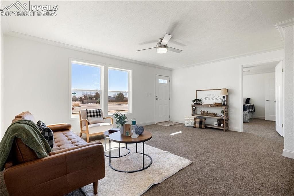 23630 Wheat Dr Colorado Springs, CO 80928 - Thumbnail 5