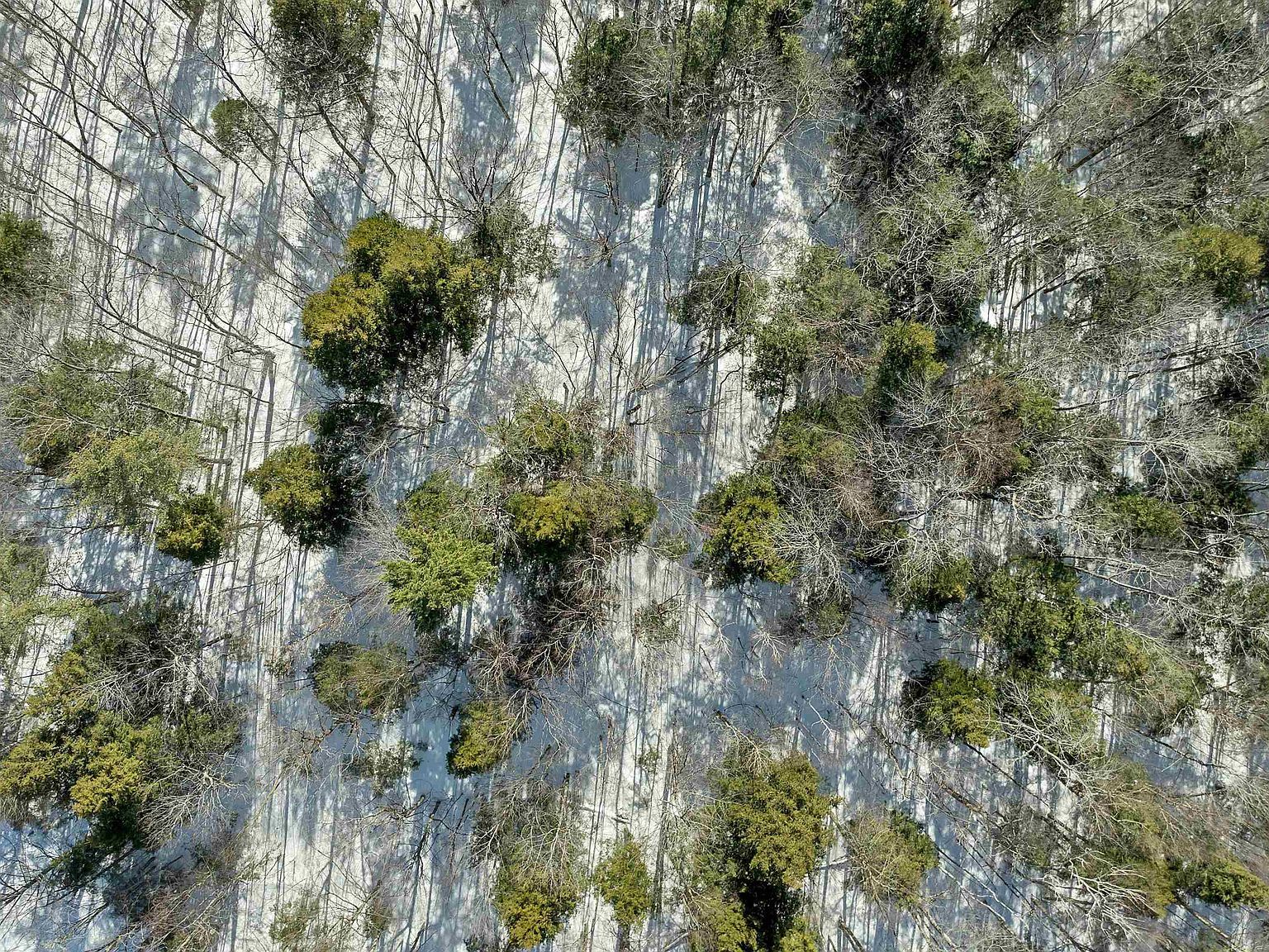 13-1 Page Rd Campton, NH 03223 - Thumbnail 5