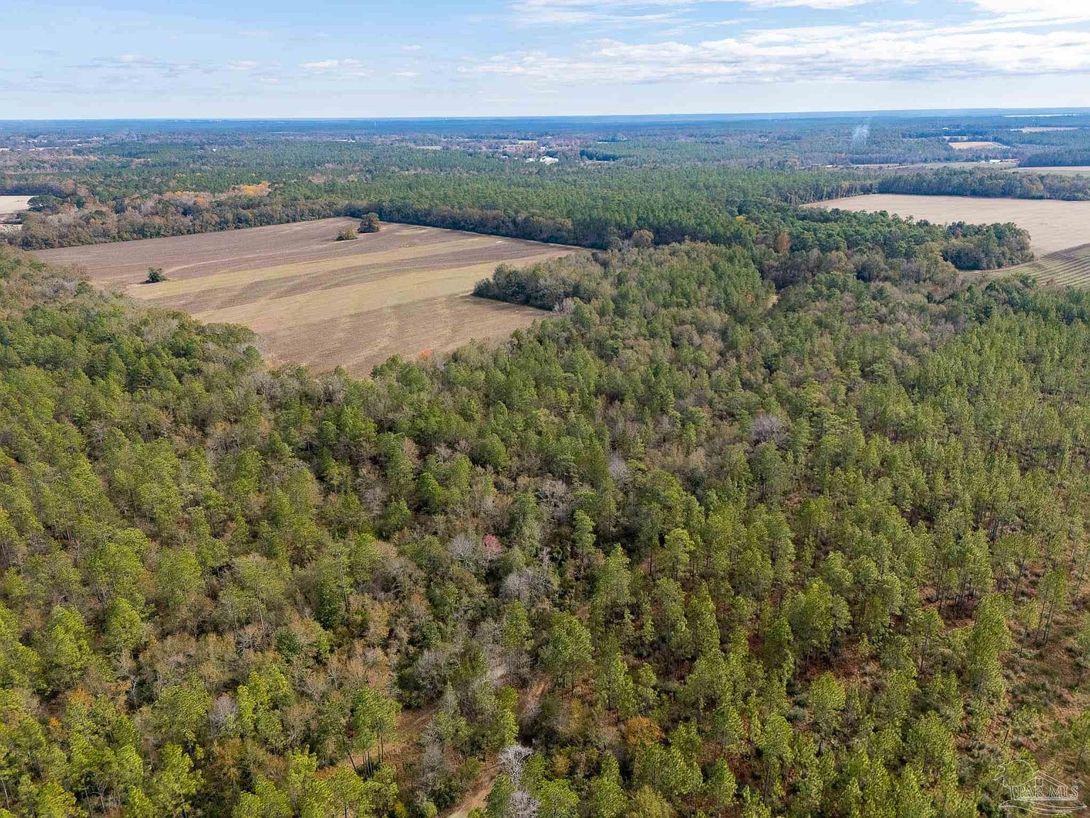 0 N Bob Brooks Rd Baker, FL 32531 - Thumbnail 5