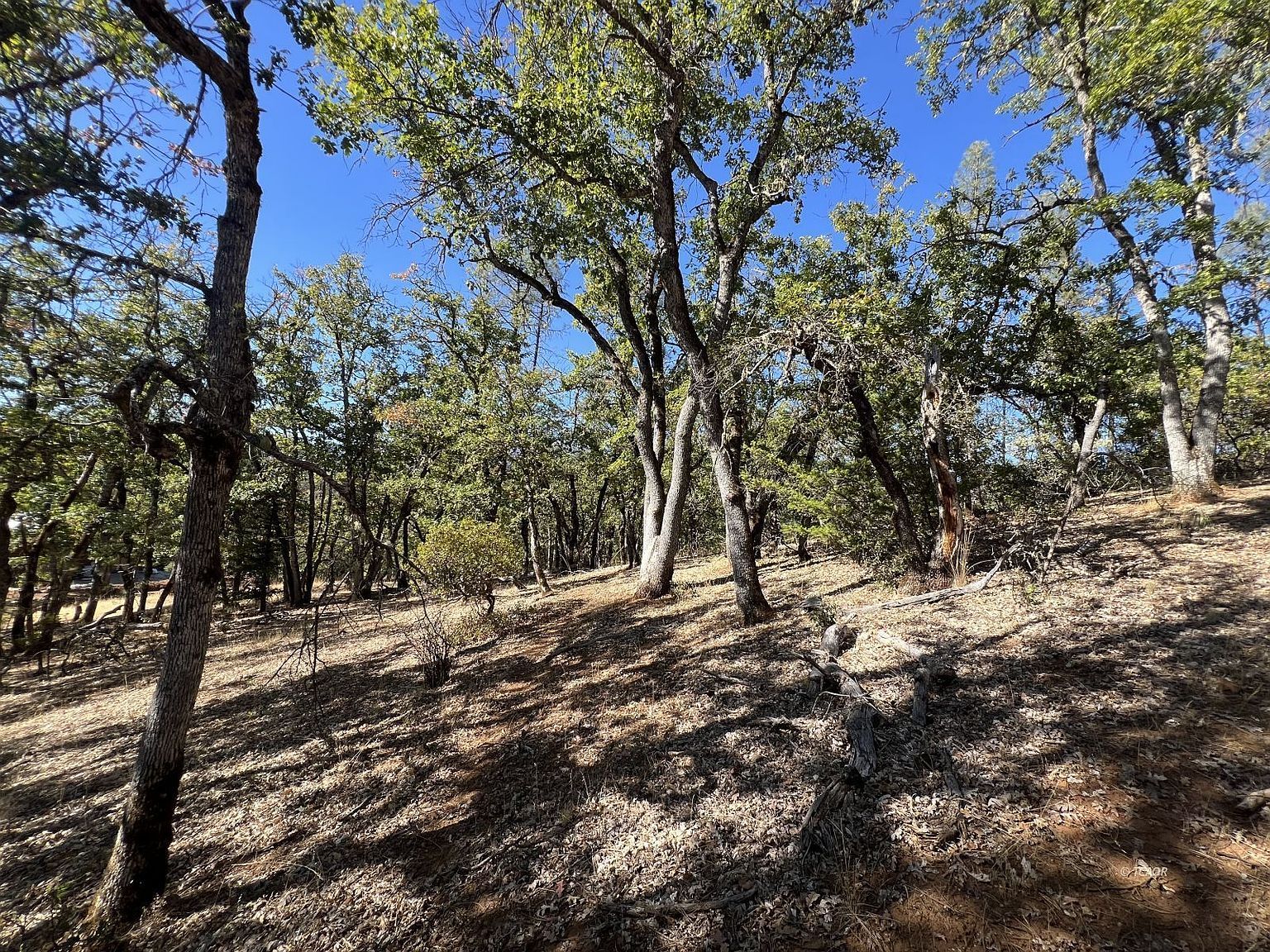 841 Browns Ranch Rd Weaverville, CA 96093 - Thumbnail 5