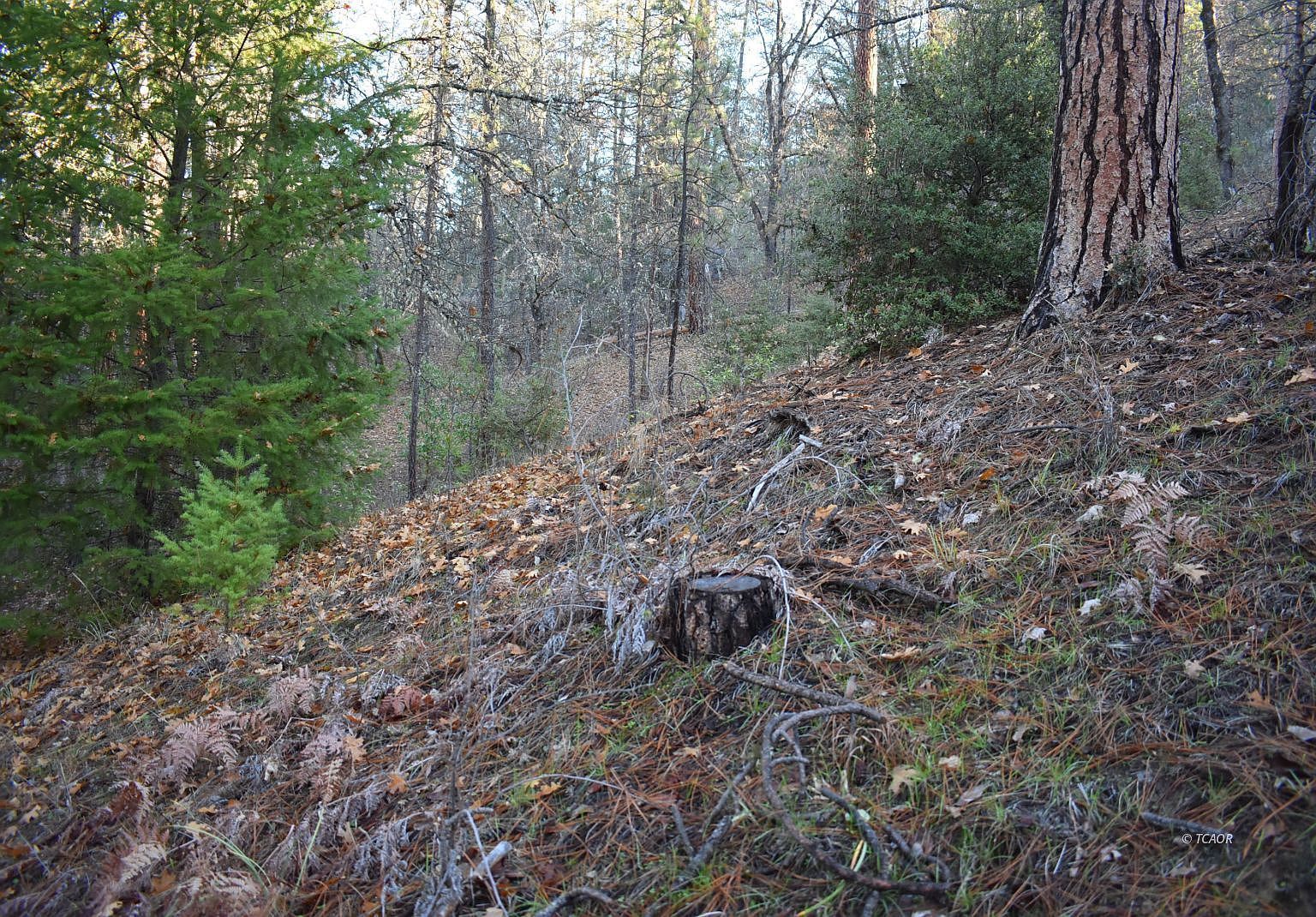 3221 Goose Ranch Rd Lewiston, CA 96052 - Thumbnail 5