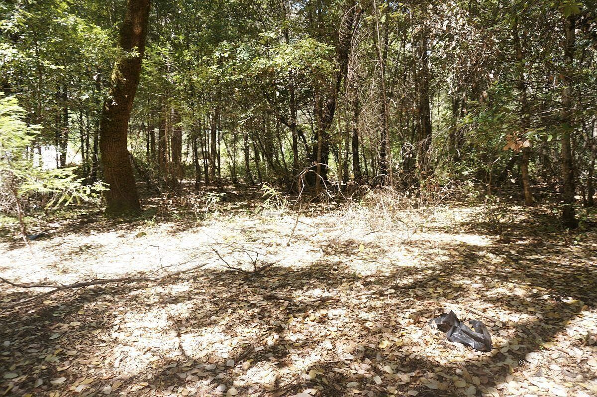 4271 State Highway 299 Burnt Ranch, CA 95527 - Thumbnail 5