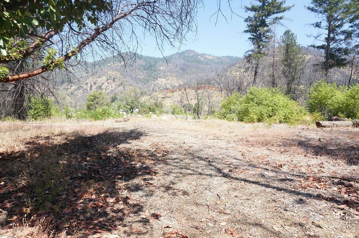 250 Bear Springs Rd Junction City, CA 96048 - Thumbnail 5