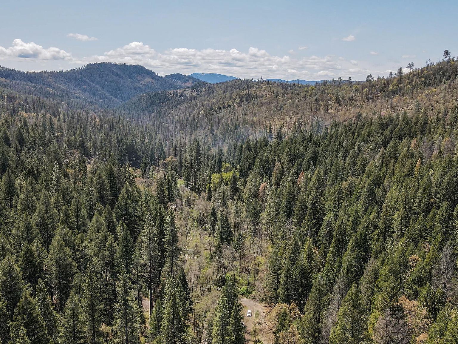 4298 Little Browns Creek Rd Weaverville, CA 96093 - Thumbnail 5