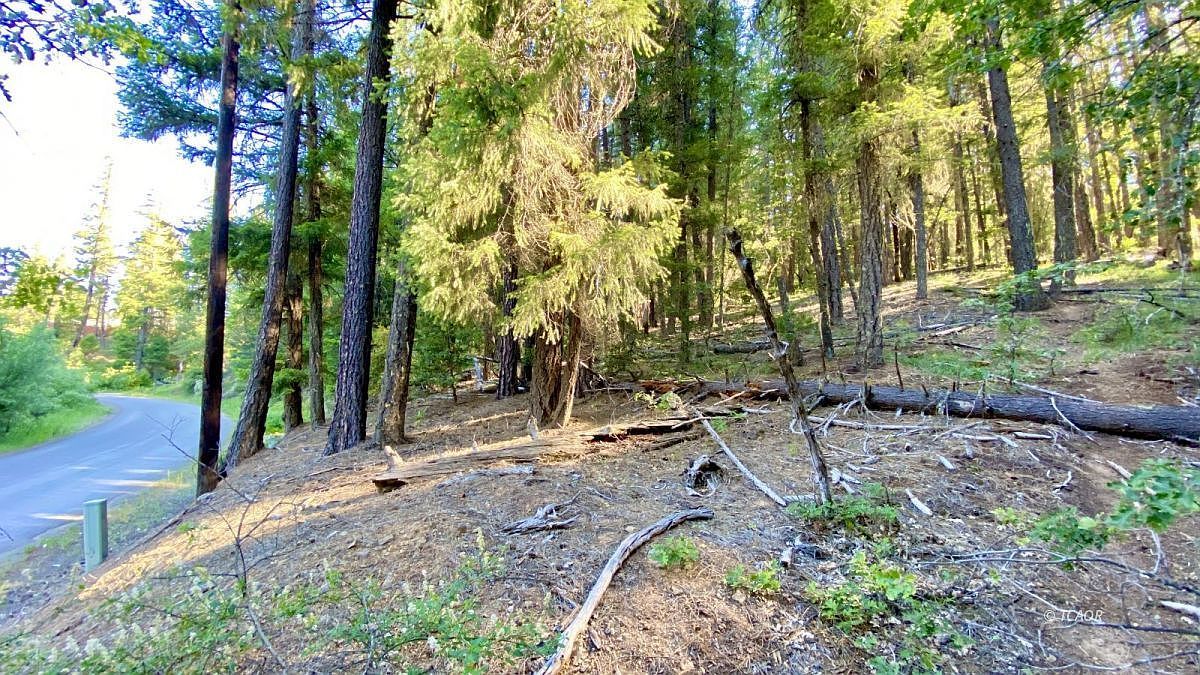 851 Trinity Pines Dr Hayfork, CA 96041 - Thumbnail 5