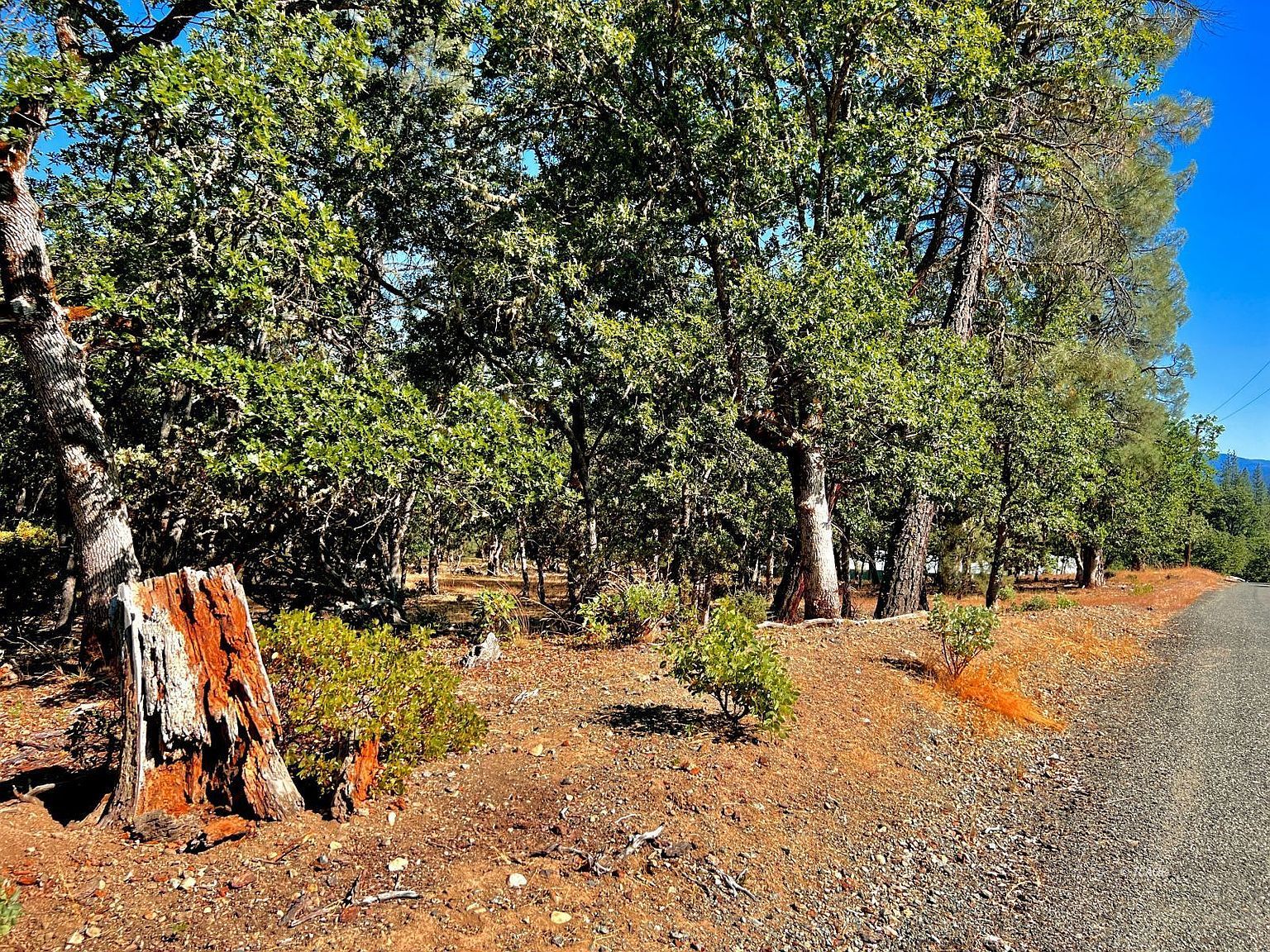 111 Oliva Dr Hayfork, CA 96041 - Thumbnail 5