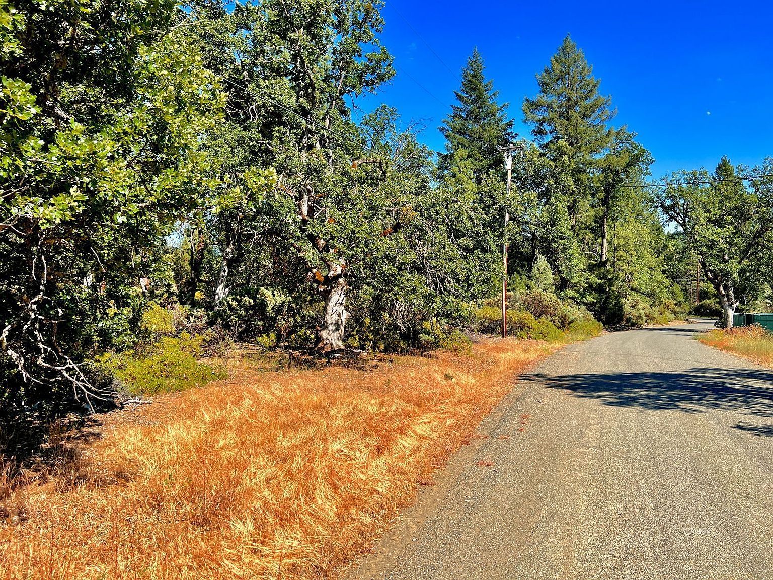 231 Oliva Dr Hayfork, CA 96041 - Thumbnail 5