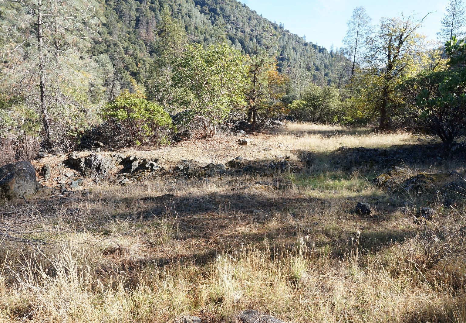 6269 Dutch Creek Rd Junction City, CA 96048 - Thumbnail 5