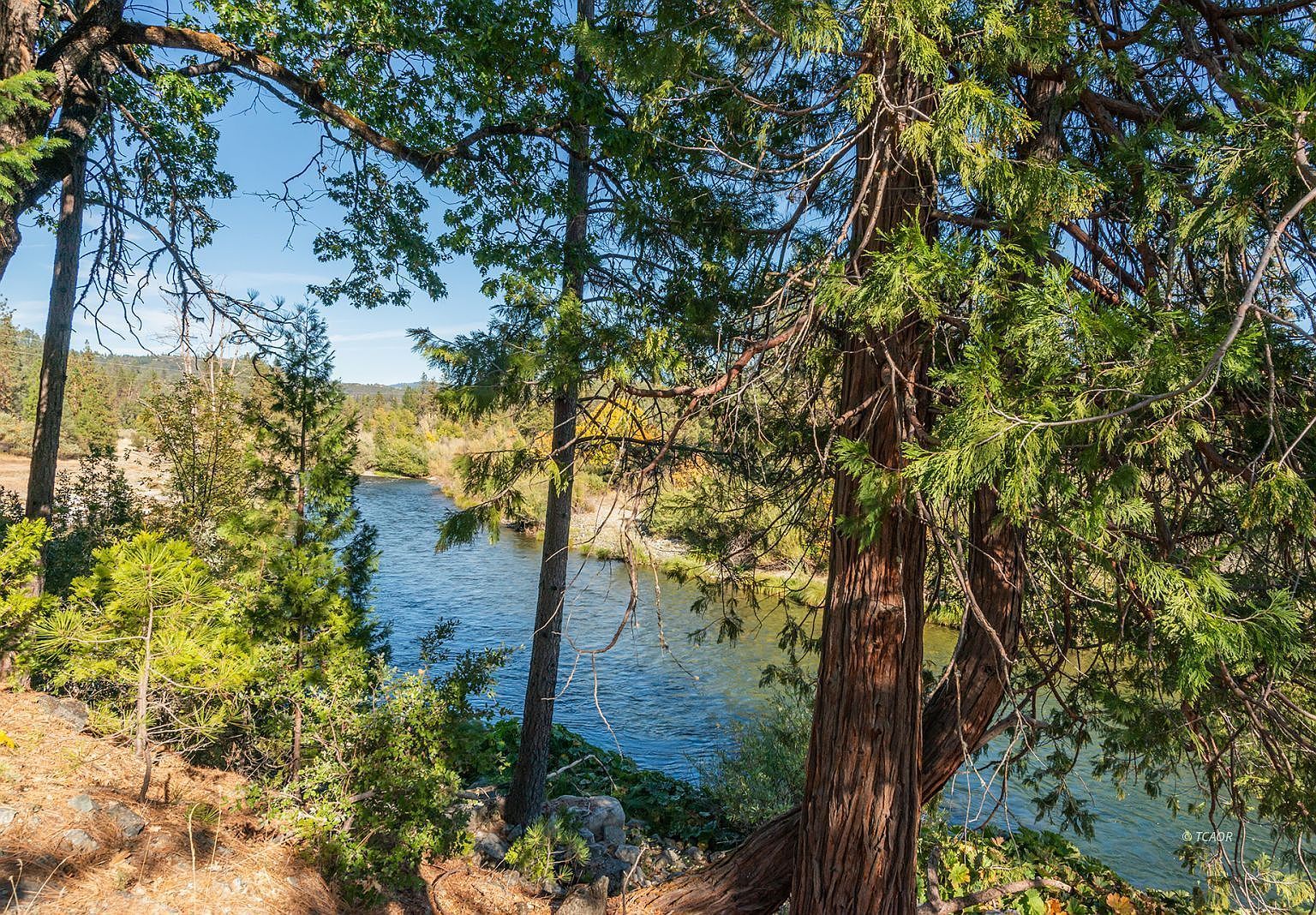 6686 Browns Mountain Rd Lewiston, CA 96052 - Thumbnail 5