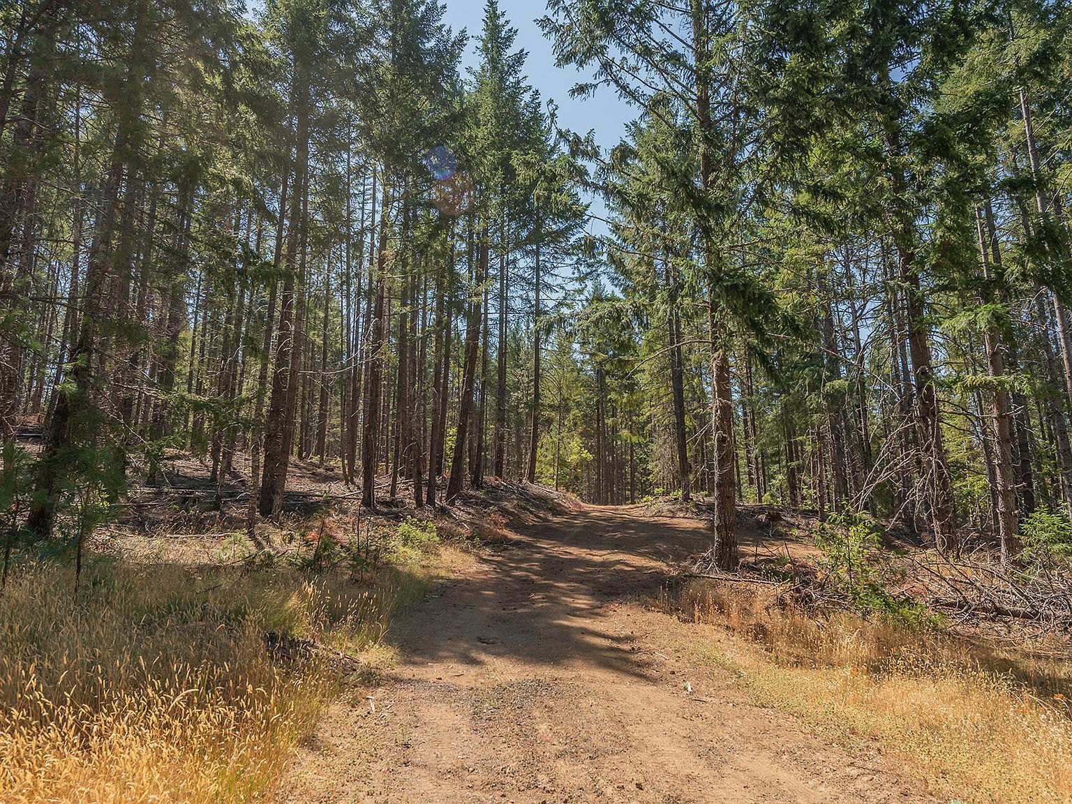 6900 Line Gulch Zenia, CA 95595 - Thumbnail 5