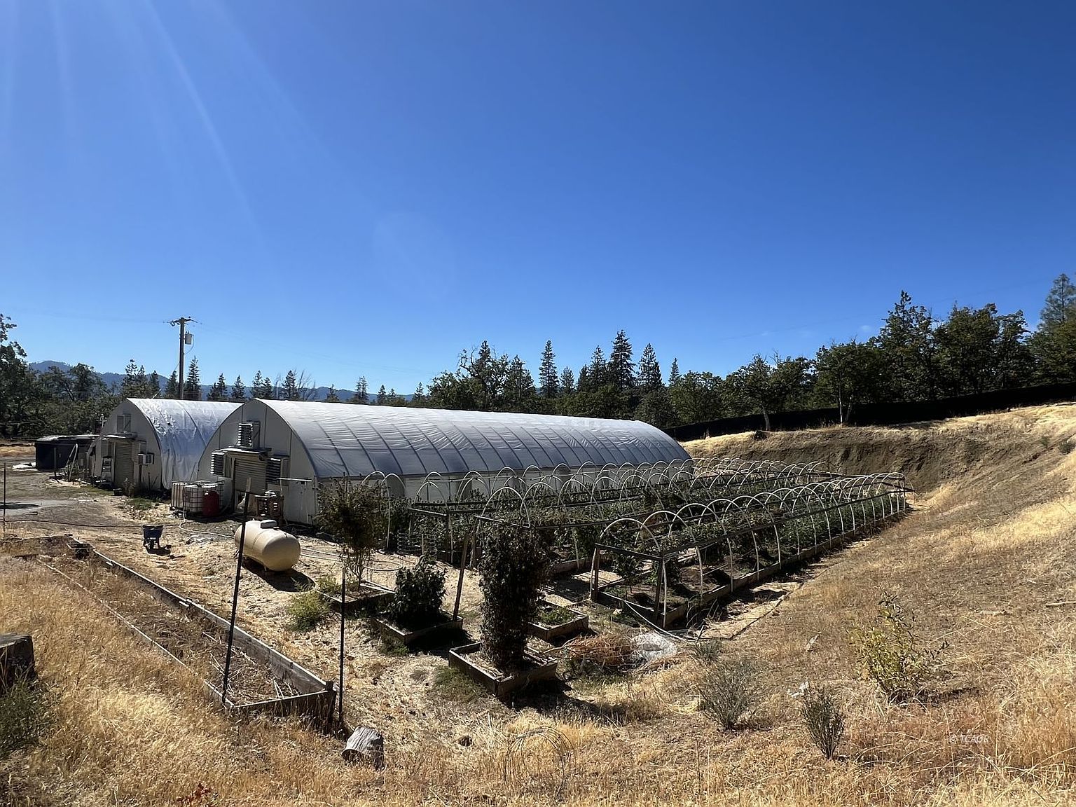 181 Oliva Dr Hayfork, CA 96041 - Thumbnail 5