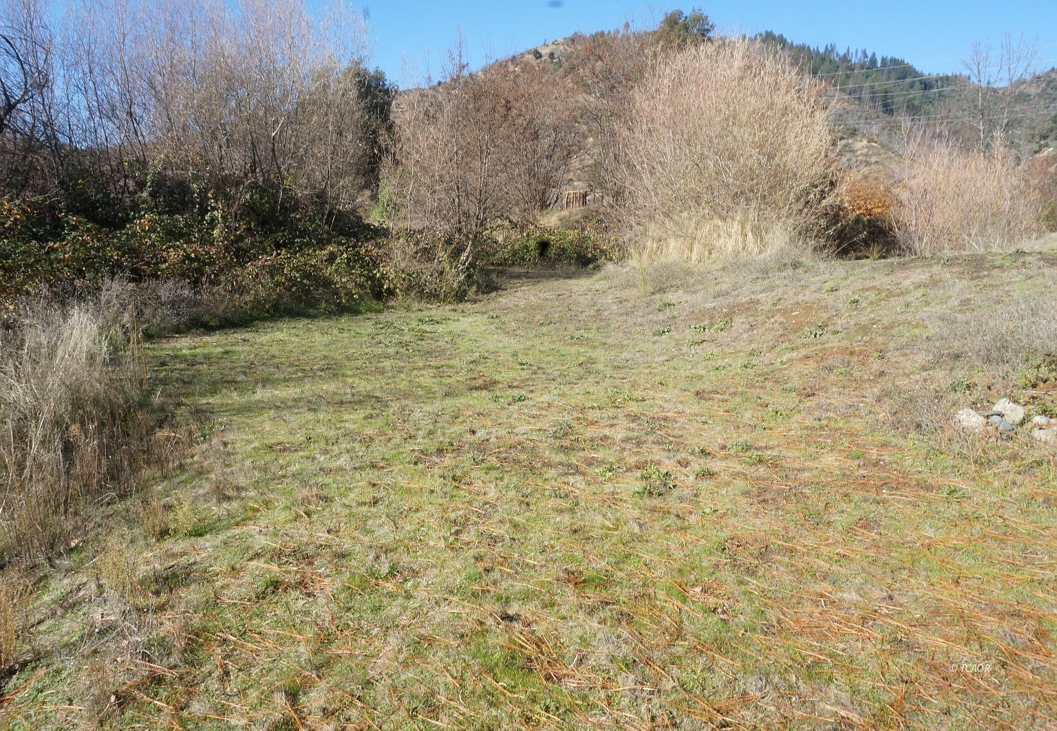 50 Acorn Ln Junction City, CA 96048 - Thumbnail 5