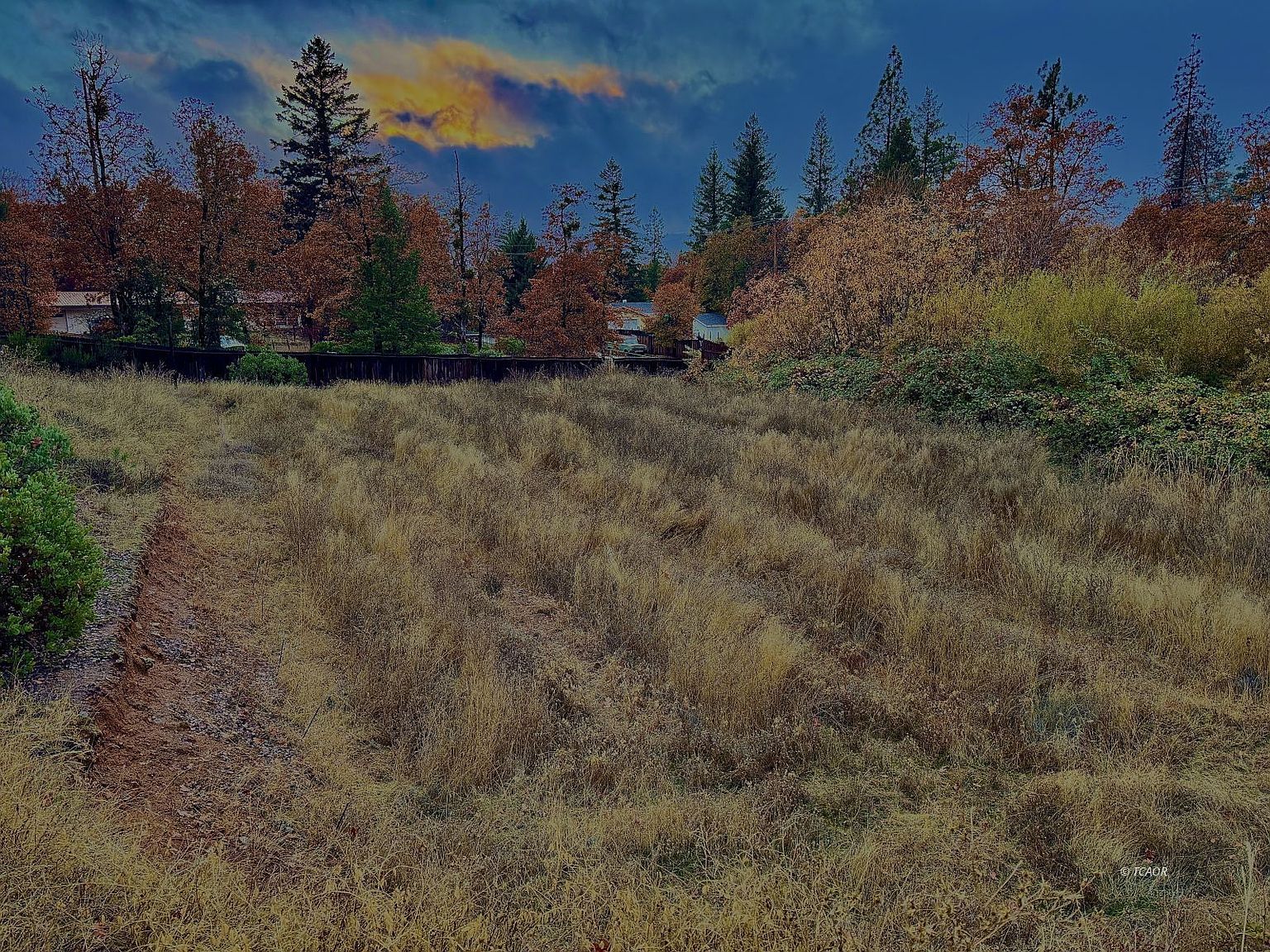 310 Reservoir Rd Hayfork, CA 96041 - Thumbnail 5