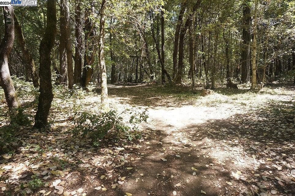 800 Suzy Q Rd Salyer, CA 95563 - Thumbnail 5