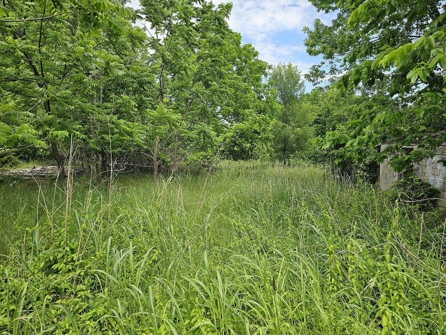 0 Highway K Everton, MO 65646 - Thumbnail 5