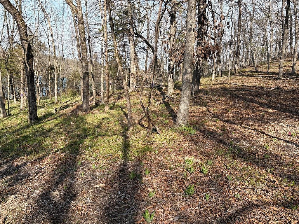 TRACT 61 Horseshoe Ln Rogers, AR 72756 - Thumbnail 5