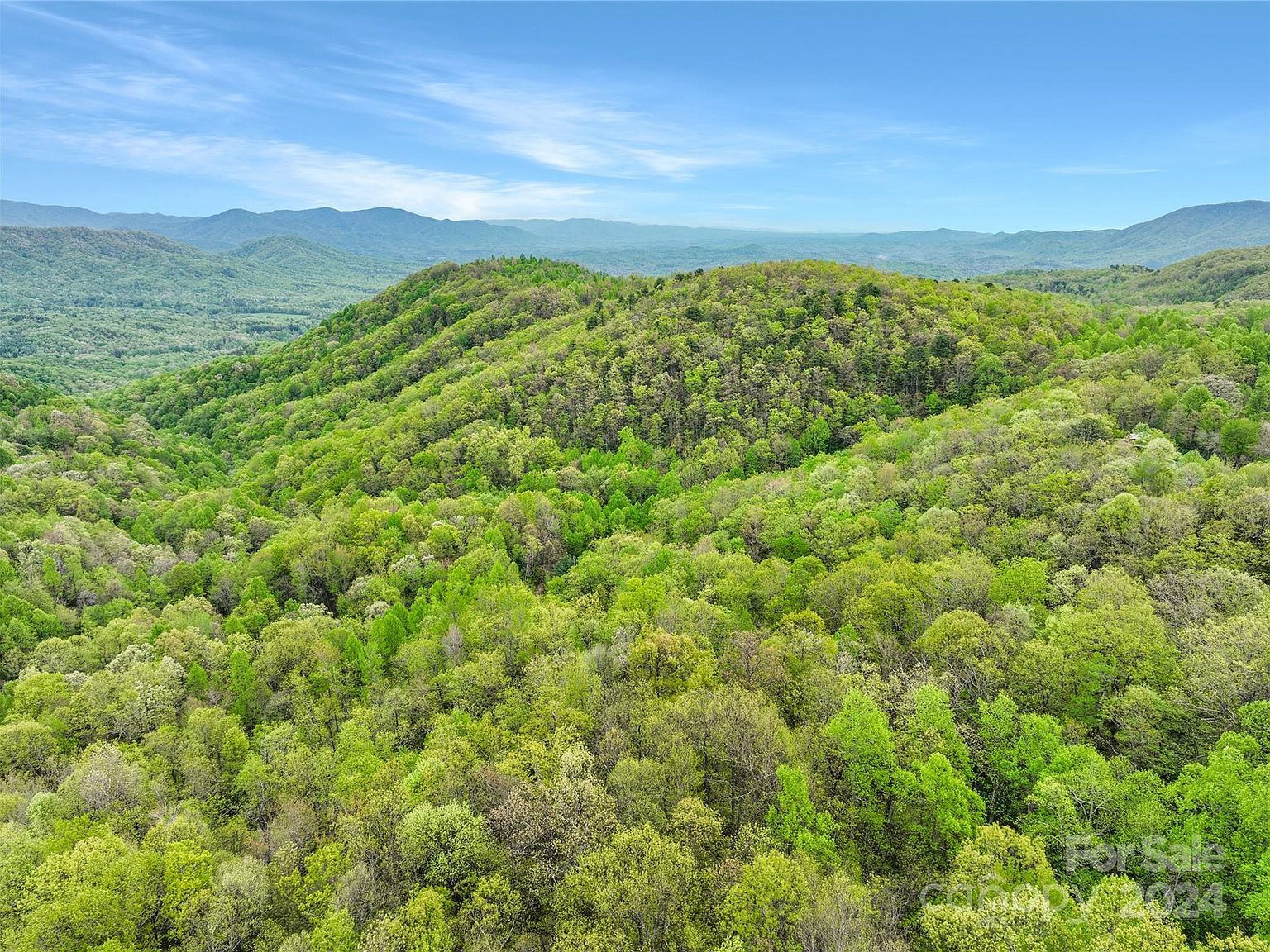 0 Bird Creek Estates Rd Black Mountain, NC 28711 - Thumbnail 5