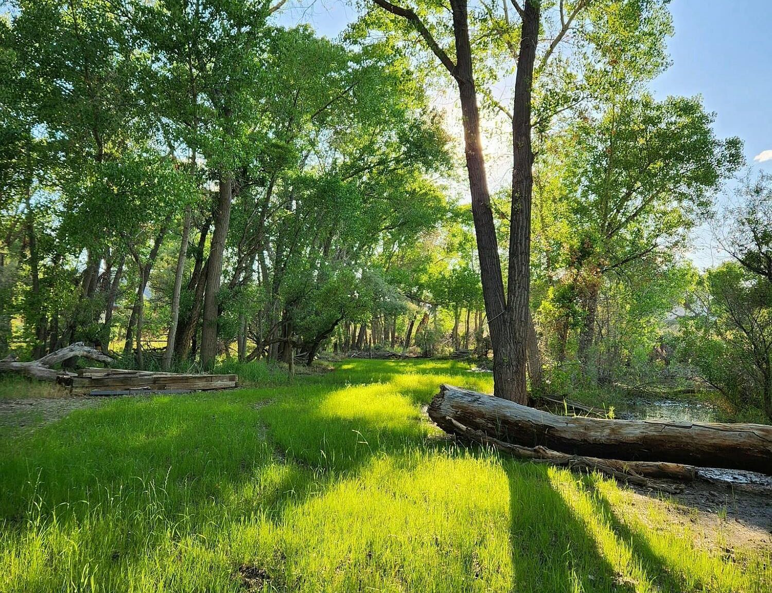 45 Casentino Ct Dayton, NV 89403 - Thumbnail 5