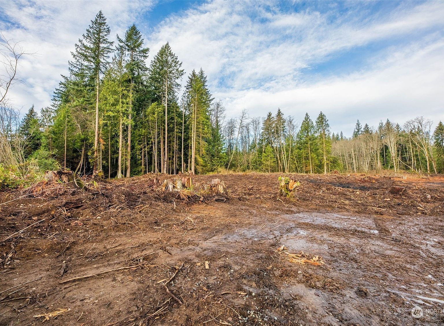 0 288th St NW Stanwood, WA 98292 - Thumbnail 5