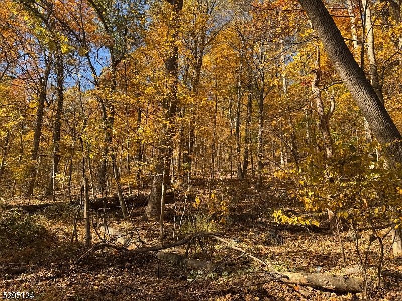 3 Rock St N Belvidere, NJ 07823 - Thumbnail 5