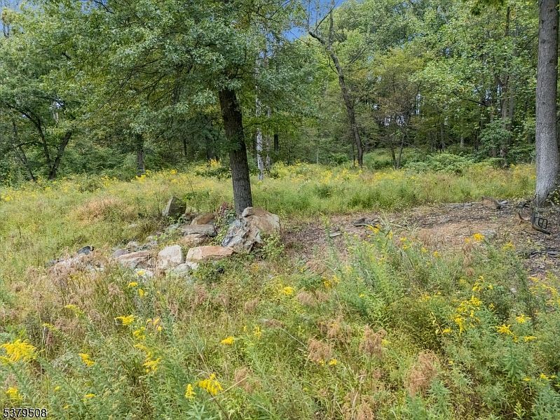 601 Fox Farm Rd Asbury, NJ 08802 - Thumbnail 5