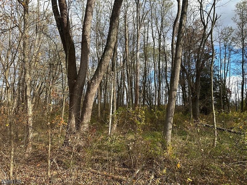 143 Vail Rd Columbia, NJ 07832, Columbia, NJ, 7832 - Thumbnail 5