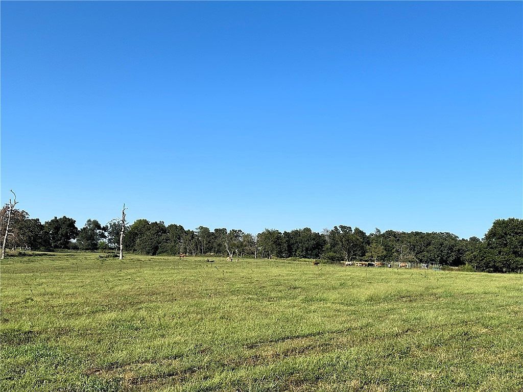 8294 N Coffelt Cemetery Rd Bentonville, AR 72713 - Thumbnail 5