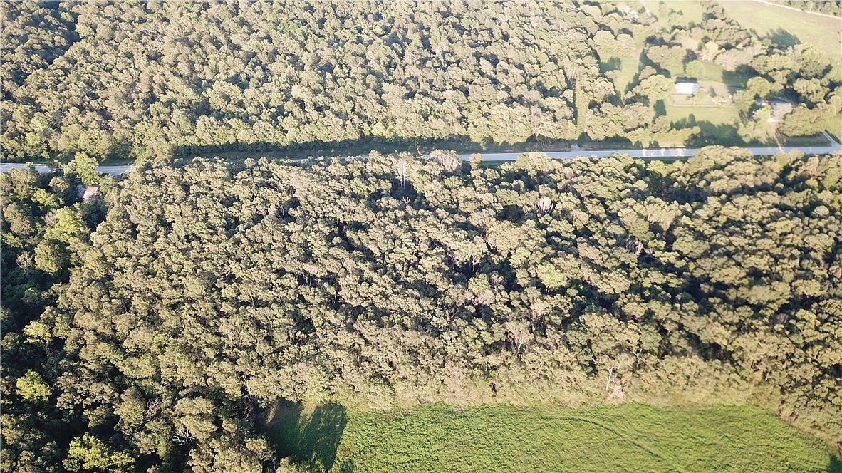 Highway 295 Hindsville, AR 72738 - Thumbnail 5