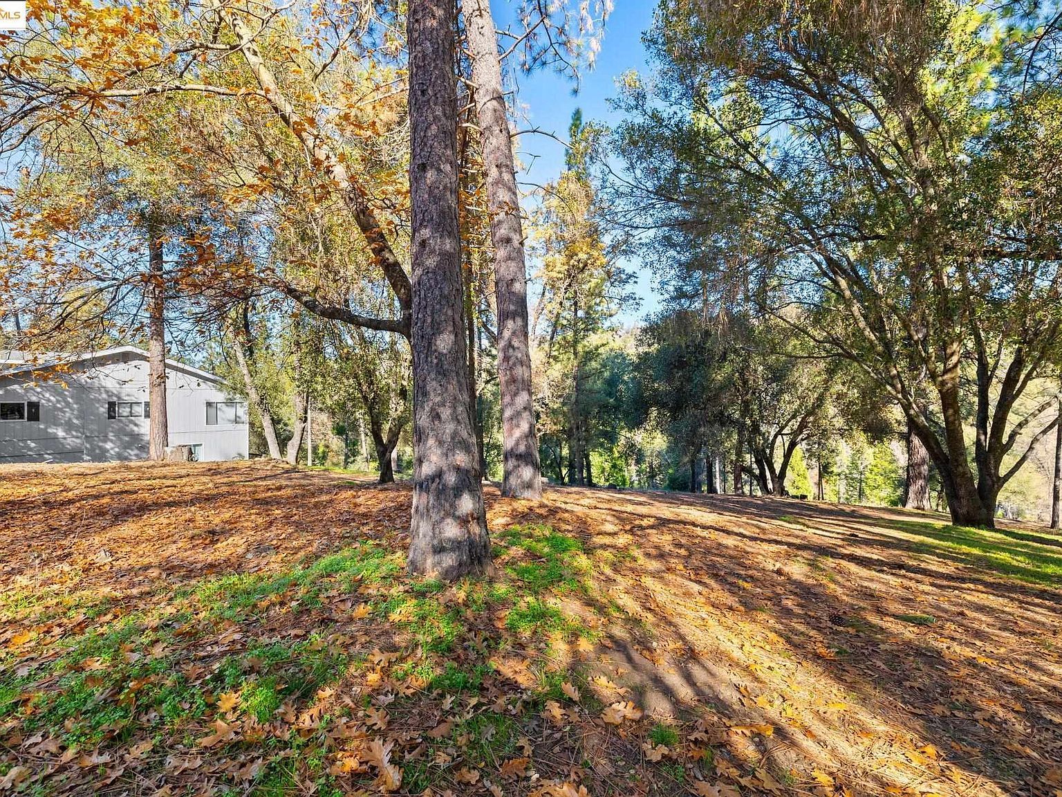 19426 Ferretti Rd Groveland, CA 95321 - Thumbnail 5