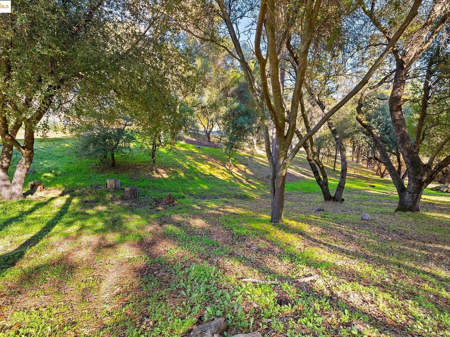 2-306 Ferretti Rd Groveland, CA 95321 - Thumbnail 5