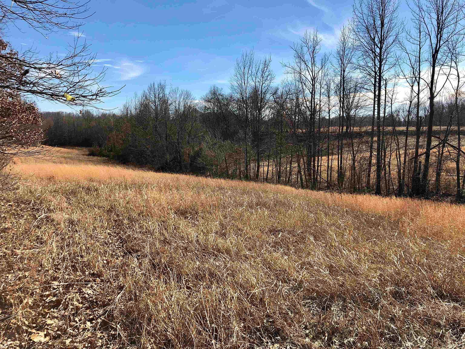 0 Elm Grove Rd Burlison, TN 38015 - Thumbnail 5